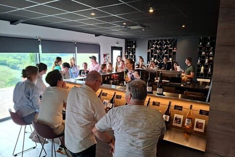 Beaujolais wine route, private tour from Lyon