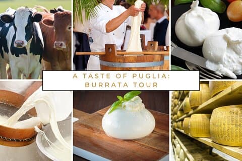Puglia: Mozzarella and Burrata Workshop at the Farm