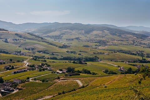Excursión privada de un día a Beaujolais con degustaciones desde Lyon