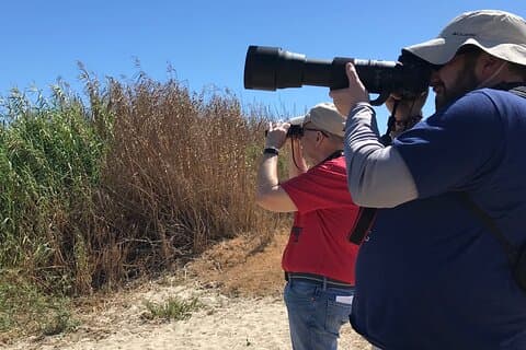 Birding Tour in La Paz Mexico