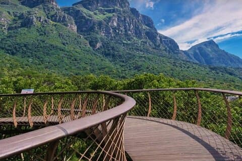 Kirstenbosch Botanical Garden og Constantia Vin med AFROGEM