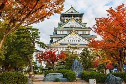 Osaka Private customized Tour with English Speaking Guide