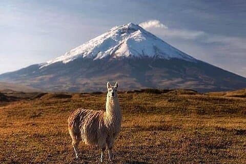 9Day-Ecuador Adventure Volcan Rucupichincha Cayambe & Chimborazo