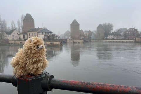 Alsace: Colmar, landsbyer og slotte Privat guidet heldagstur