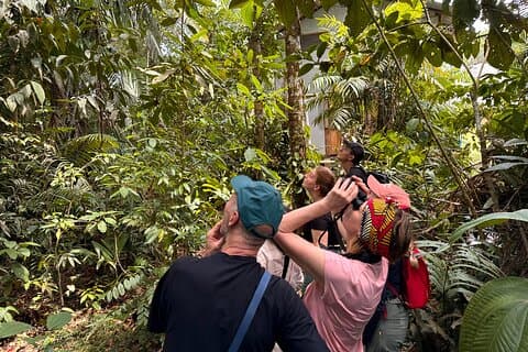 4-dages All Inclusive Amazonas Jungle Adventure, transfer fra Quito