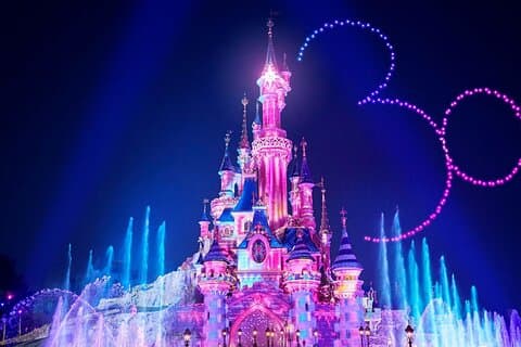 Transfer privato di sola andata da Orly a Disney Hotel