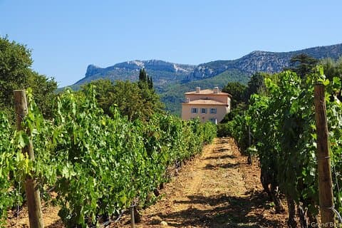 Twee intensieve dagen om de uitzonderlijke wijnen van de Provence te ontdekken