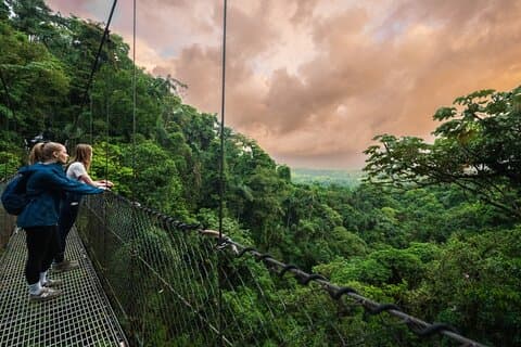 Hängebrücken in der Dämmerung beim Vulkan Arenal