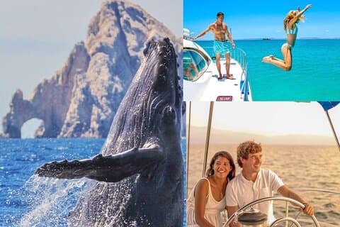 Excursion de luxe de plusieurs millions de yachts observant les baleines