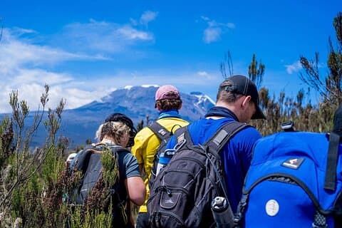 6 Days Climb Private Tour in Mount Kilimanjaro