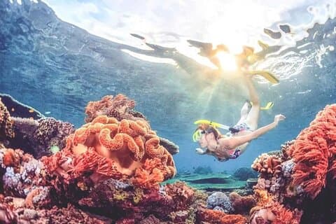 Bali Snorkling vid Blå lagunen och Tanjung Jepun