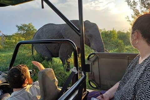 Kruger Nationaal Park Safari's