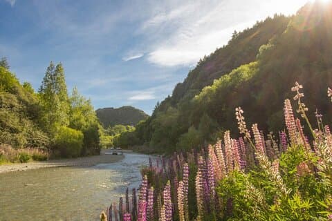 Fietstocht van Arrowtown naar Queenstown met shuttle
