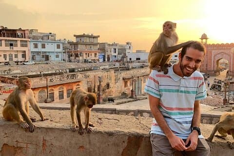 Jaipur private full-day Sightseeing by car