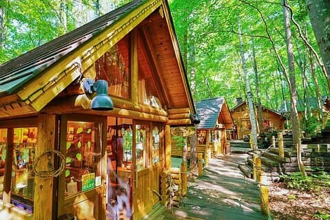 Tagestour durch den Asahiyama Zoo, Blue Pond, Shirahige Falls/Einzelterrasse