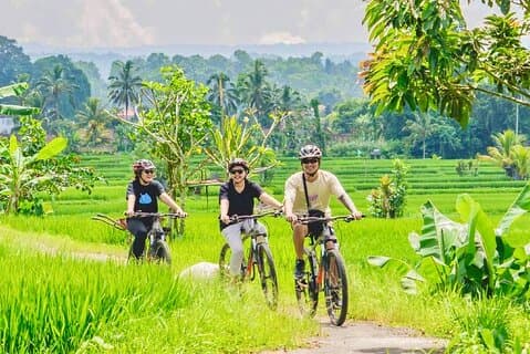 Landsbygdens cykeltur från Sigiriya, Dambulla och Habarana