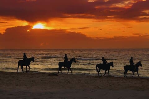 Pomeriggio a cavallo sulla spiaggia di Aguadilla, Porto Rico