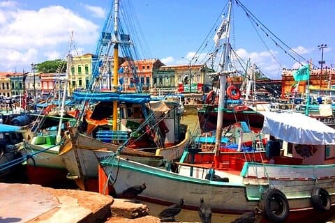 Belem & Marajo Island - Private Multi Day Tour