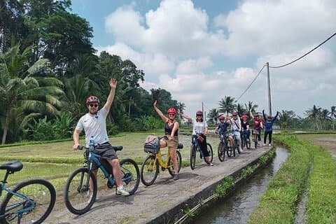 Explore Rice Fields and Hidden Villages with Ubud E-Bike Tour