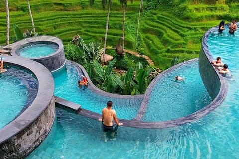 Ubud Monkey Forest Sanctuary Tours and Cretya
