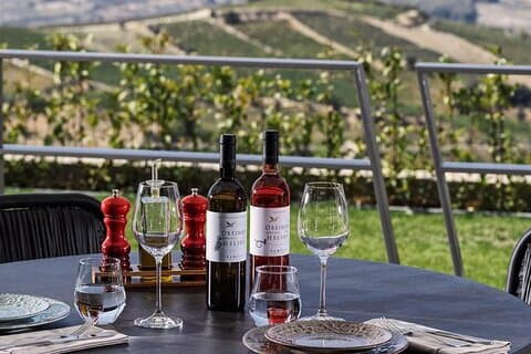 Découvrez le pays des vins grecs: Dégustation de repas et de vin au Domaine viticole