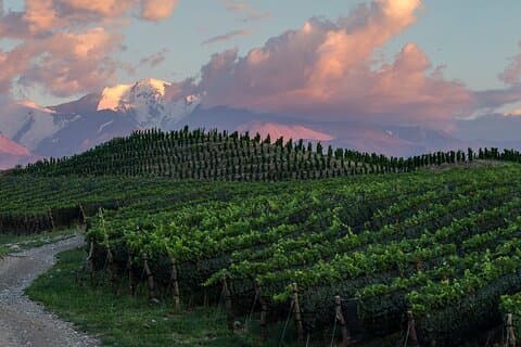 Zuccardi Legacy Tour através do Uco Valley's Finest