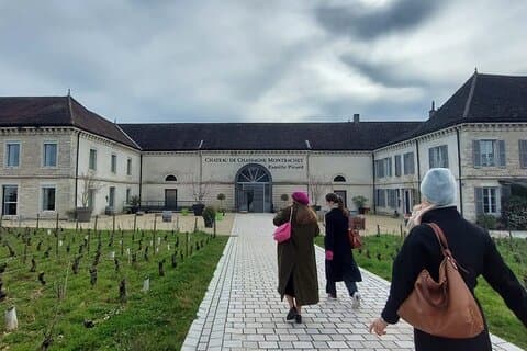 Excursión privada de un día a los viñedos de Beaune y Borgoña desde Lyon