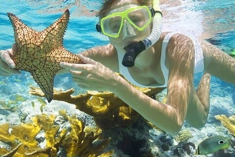 Rose Island Adventure: mergulho com snorkel, tartarugas marinhas e praia particular