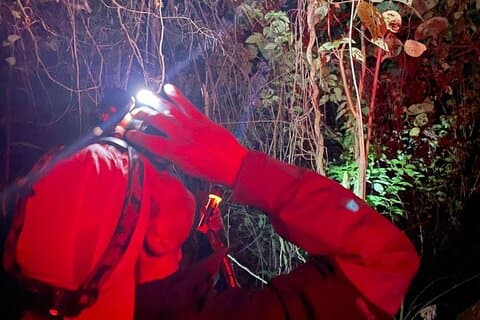 Anmeldelser af Night Watch Nature Adventure Tour
