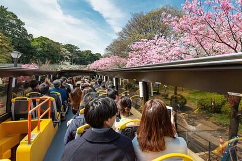 Tokyo: Bus panoramico aperto con audioguida