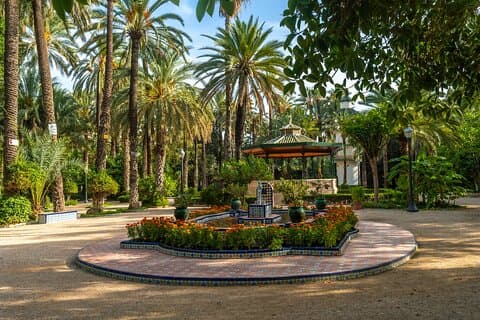 Privétour door Alicante & Elche: een reis door de geschiedenis en natuur