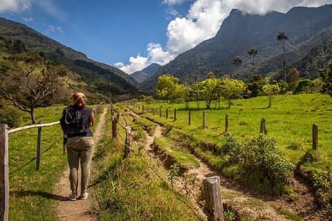 Cocora Valley Wandertour mit Mittagessen
