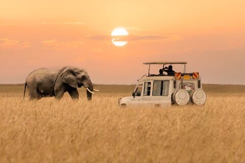 Safari privé de 2 jours pour Tarangire NP et le cratère de Ngorongoro