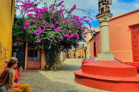 Tour privato della città di Oaxaca con un budget limitato - La migliore valutazione