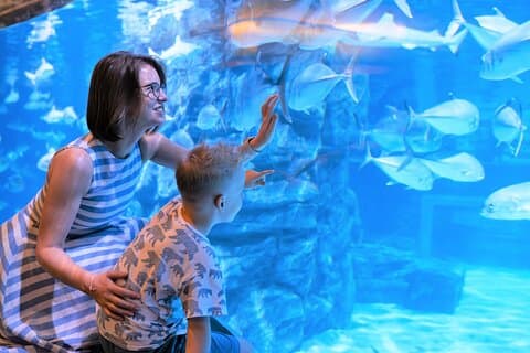 Aquaria Phuket Ticket Experiencia de atracción en el acuario