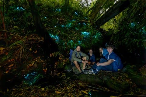 Hoteller i nærheden af Auckland Glowworm Tours