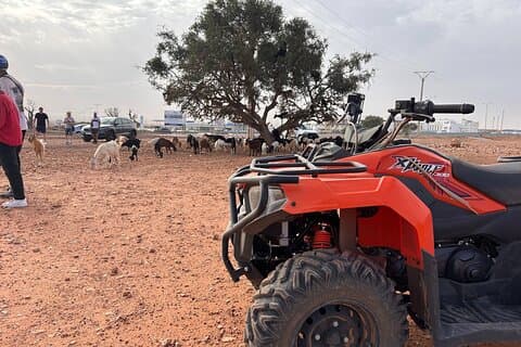 Goat on Trees & Desert Quad Biking Including hotel Transfers