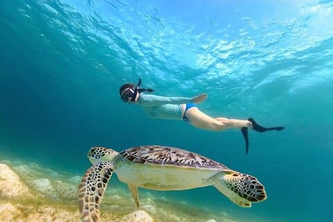 Abu Dabbab Beach Excursão de um dia de snorkel a partir de Marsa Alam