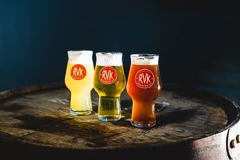 Den privata Reykjavik Bryggeri och ölprovning Tour