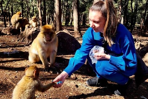 フェズ発中部アトラス山脈とアズルー日帰りツアー