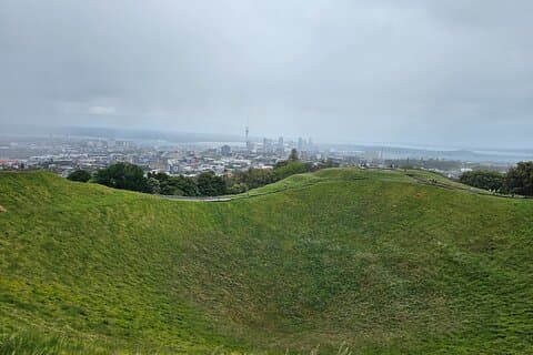 Auckland City halvdagstur