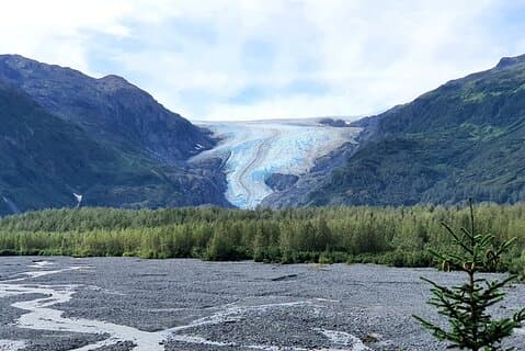 Exit Glacier Nature Hike
