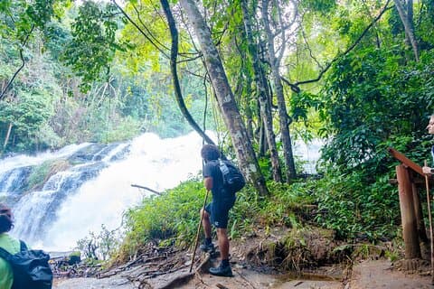 Chiang Mai ATV Tour, Doi Inthanon Trekking och Elefantskådning