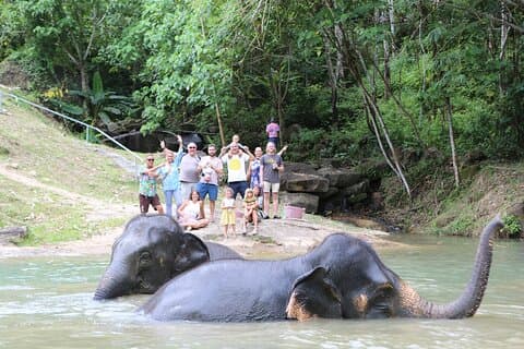 Clase de observación y cocina del santuario de elefantes Phuket