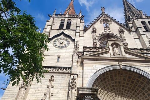 Visita guiada en medio día a Lyon