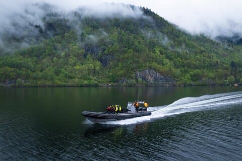 Hardangerfjord RIB Safari to Secluded Fyksesund from Norheimsund
