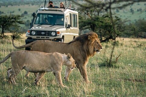 4 jours en Tanzanie Budget Safari