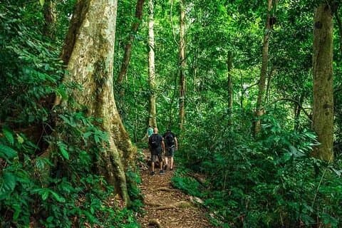 Ninh Binh: Trekking Utforsk hjertet av Cuc Phuong nasjonalpark