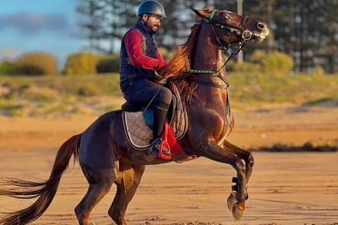 Balada a caballo en Haouzia
