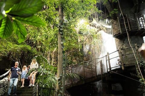 ヨーテボリ・ユニヴァーサウムチケット-水族館、科学、野生動物、動物園